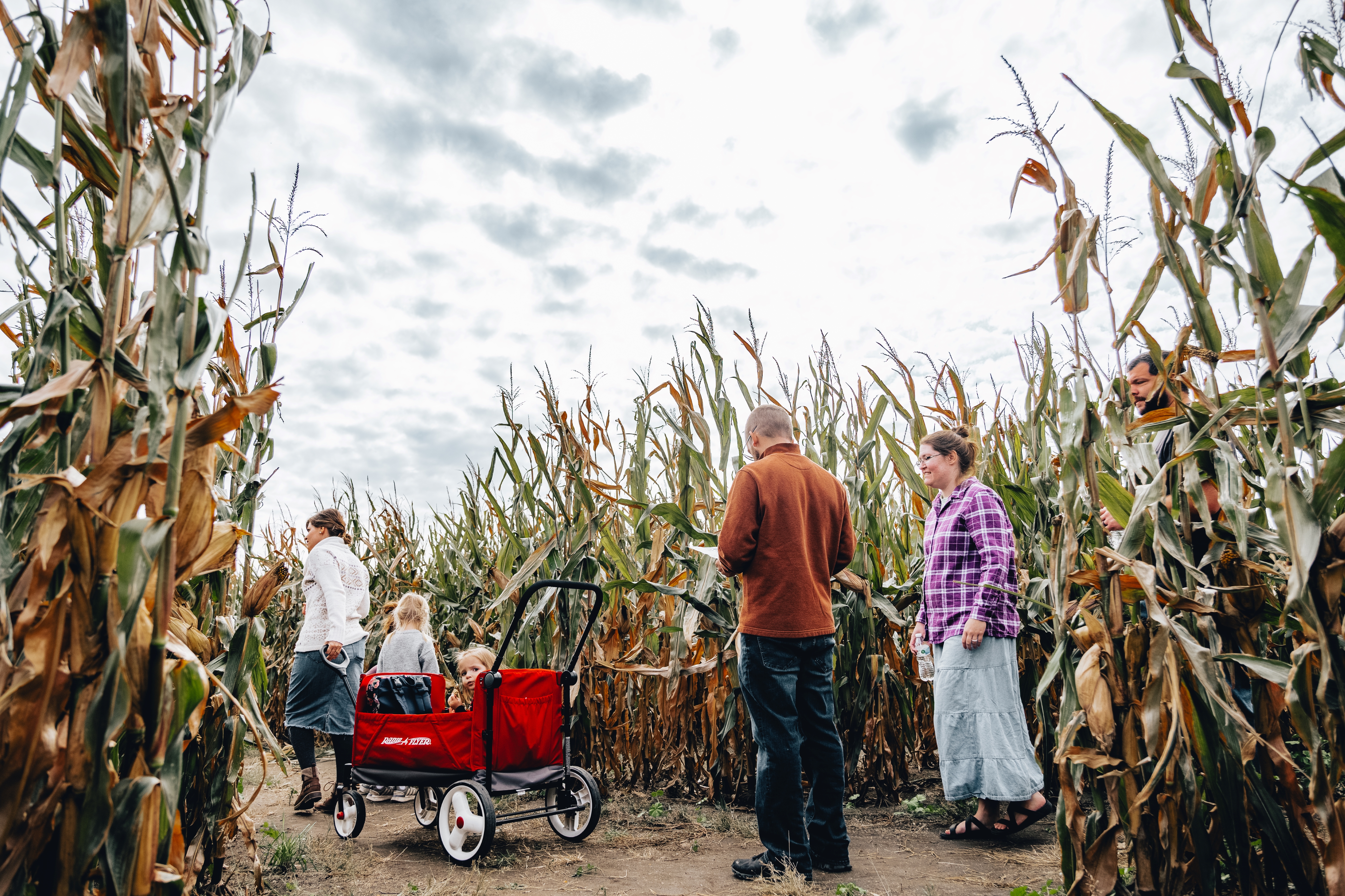 A-Maze-N' Clown Pumpkin Patch (Seasonal) | Official North Dakota