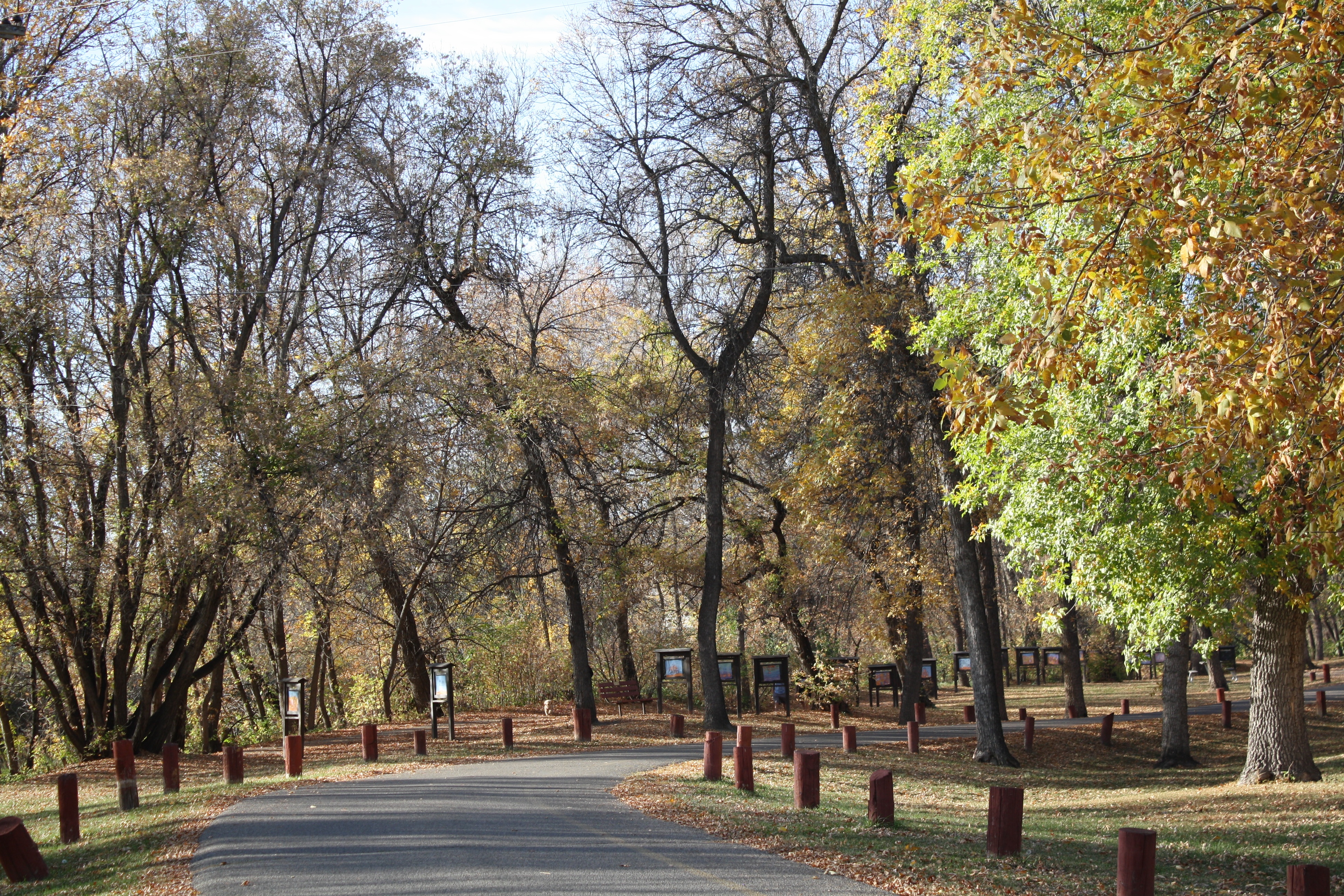Minot's Oak Park