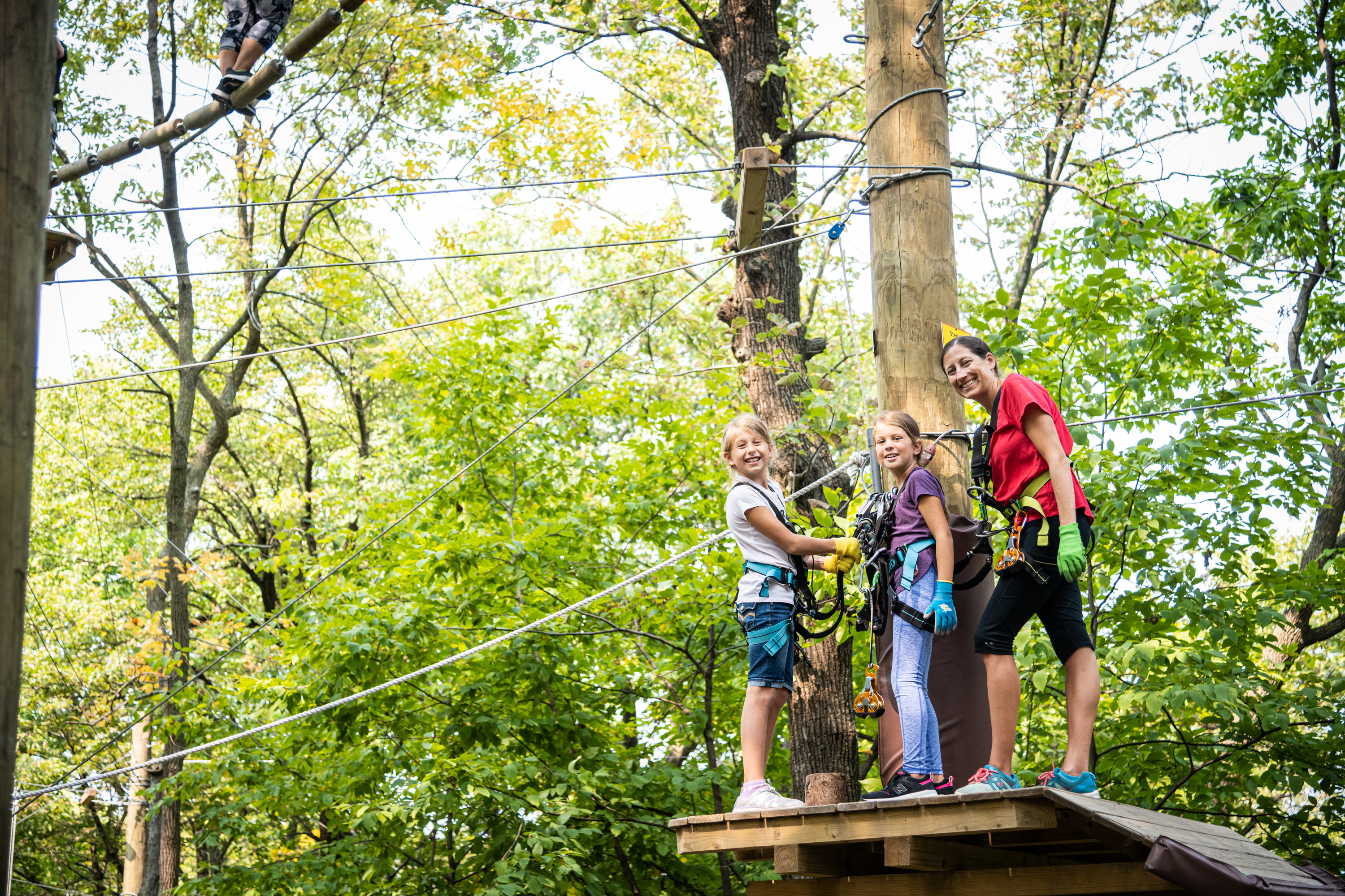 e8303e8bdbea19ad3dd53c67f72409