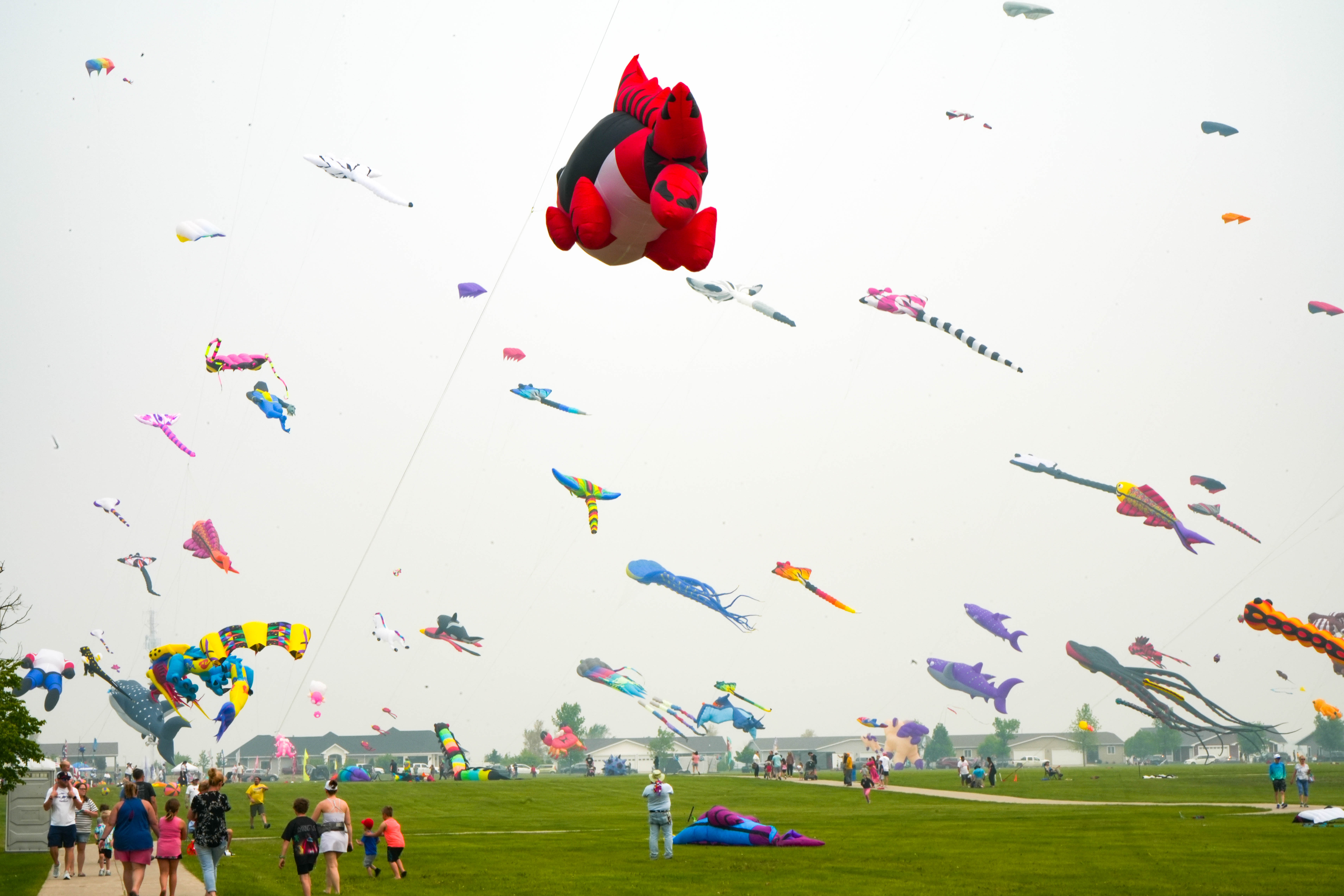 What Is Kite Festival