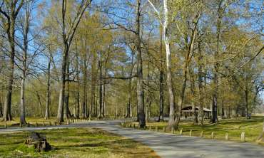 Jenkins_Ferry_State_Park.JPG