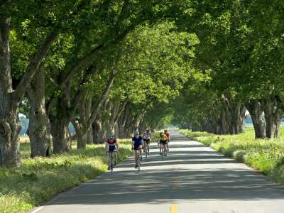 Cycling the Harper's Loop