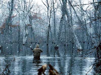 Earl Buss-Bayou DeView Wildlife Management Area