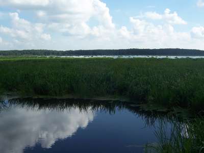 Wapanocca Lake