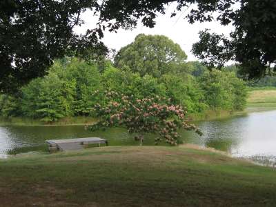 Bayou LaGrue Lodge