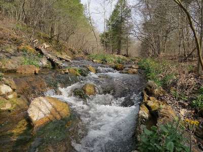 Rock Creek Natural Area