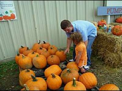 Hicks Family Farms