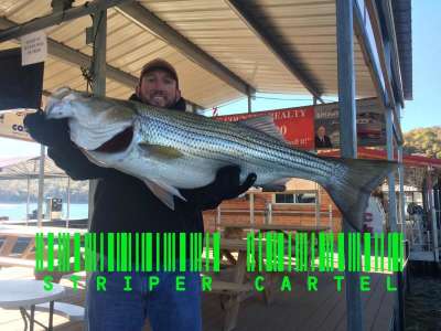 Striper Cartel - Lake Ouachita