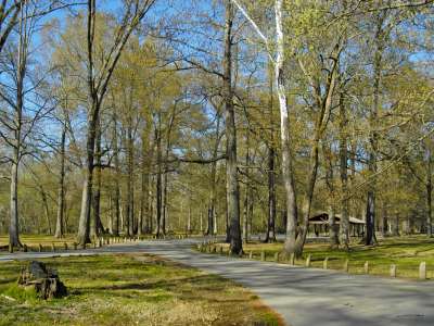 Jenkins_Ferry_State_Park.JPG