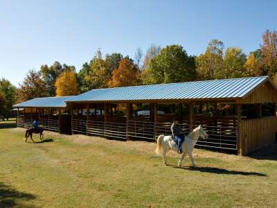 Village_Creek_Horses_and_Fall_Color02.JPG