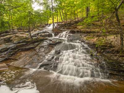 Woolly Hollow State Park's Huckleberry Trail