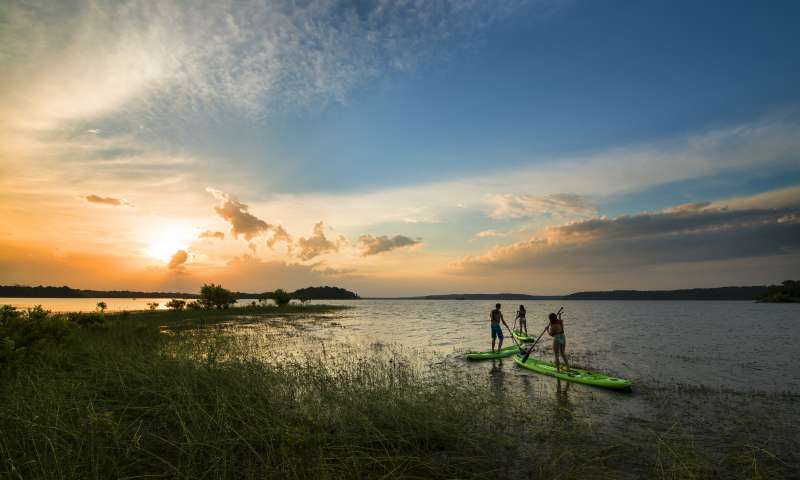 Rent a Stand Up Paddleboard (SUP) 