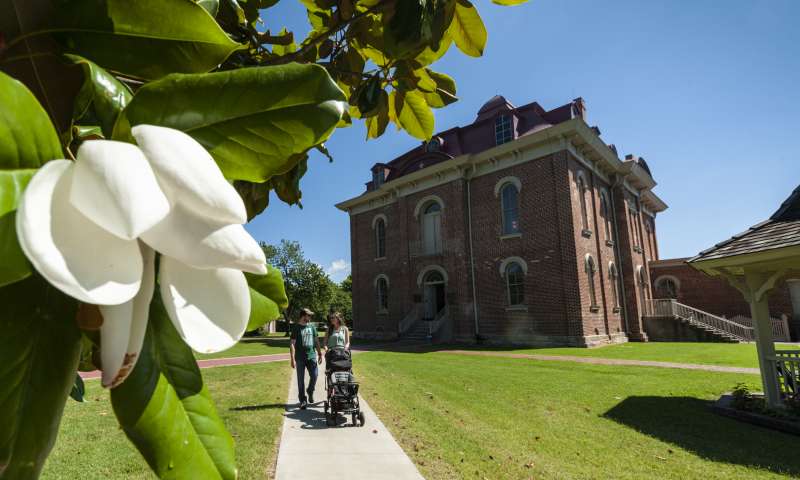 1872 Courthouse with Magnolia tree in foreground 