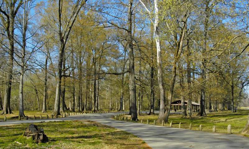 Jenkins' Ferry Battleground State Park trail