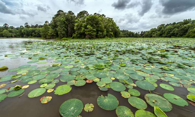 Millwood State Park