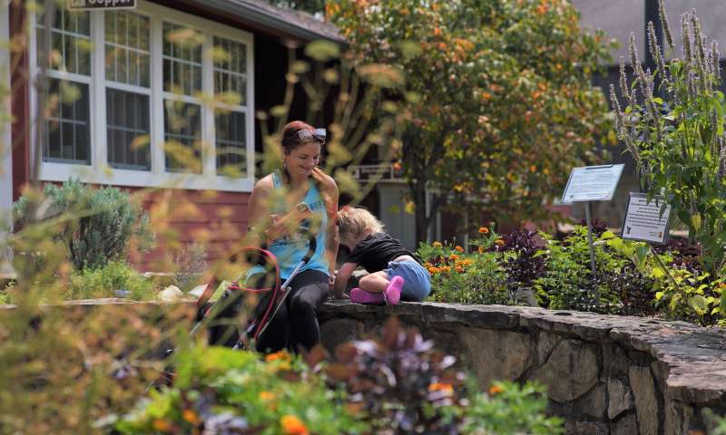 Wild Herbal Field Trip & Medicinal Plant Symposium