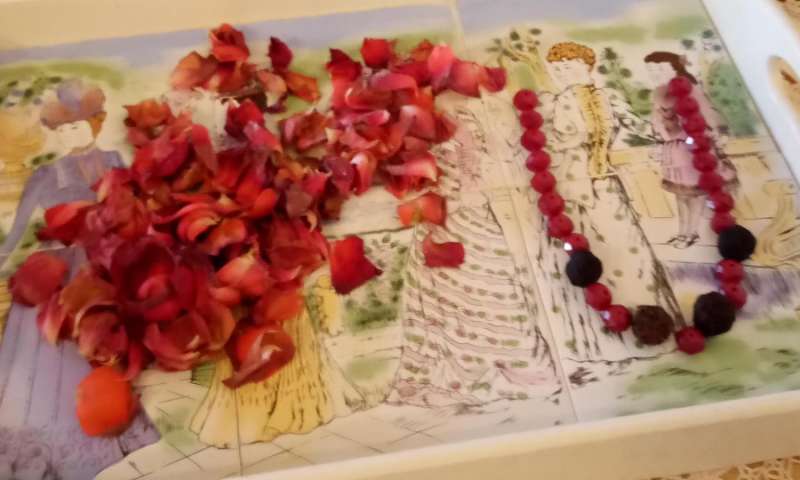 Make a Rose Bead Necklace from Rose Petals