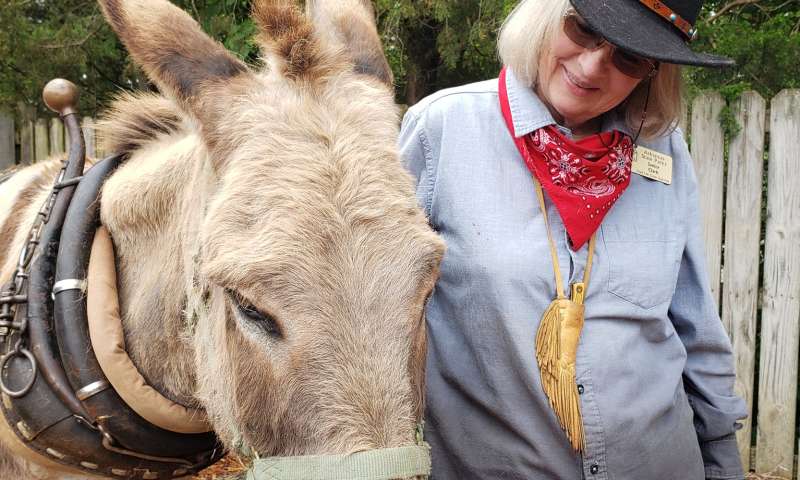 Ozark Homesteading Workshops