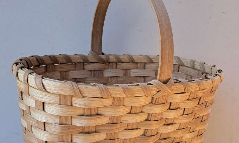 Weave a White Oak Grape Picking Basket