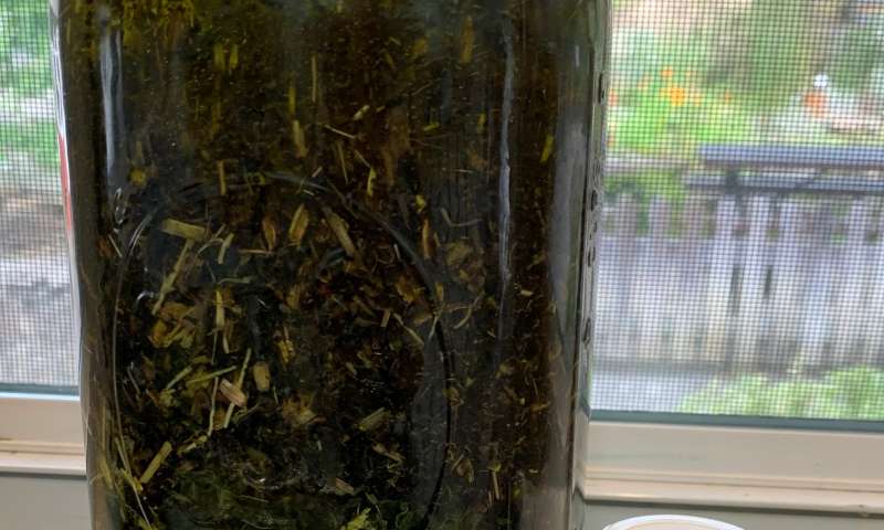 Herbal Apothecary Workshop