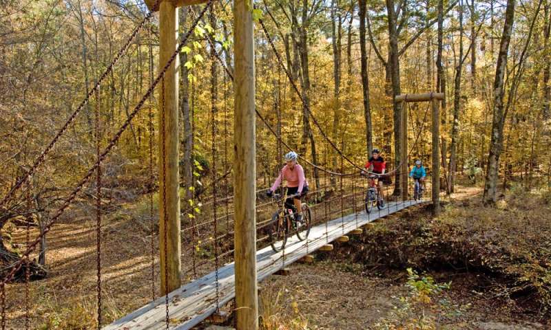 Cane Creek Lake Trail - Cane Creek State Park