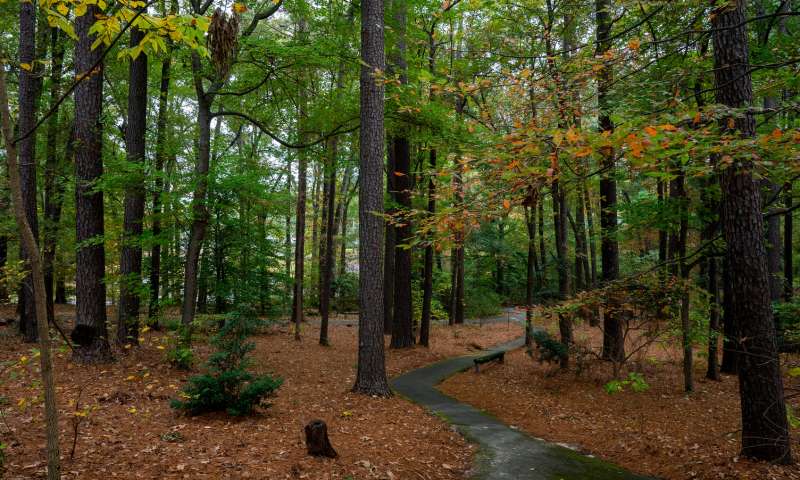 South Arkansas Arboretum