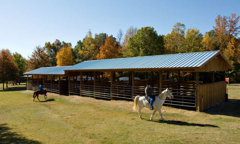 Multi-use Trail System - Horseback Trails