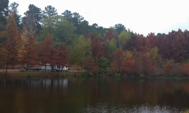 White Oak Lake State Park Arkansas State Parks