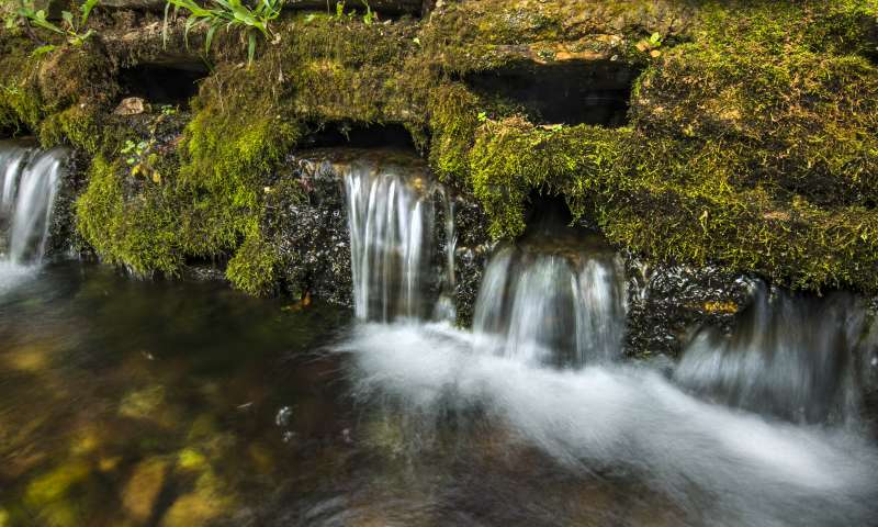 Withrow Springs State Park Arkansas State Parks