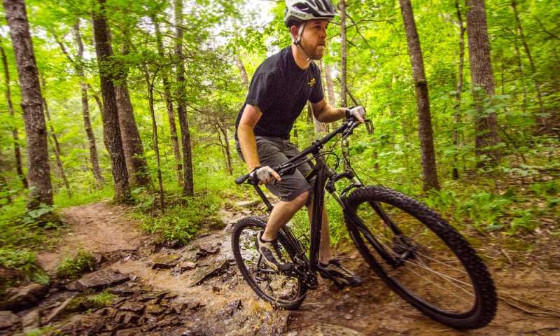 green mountain bike trail