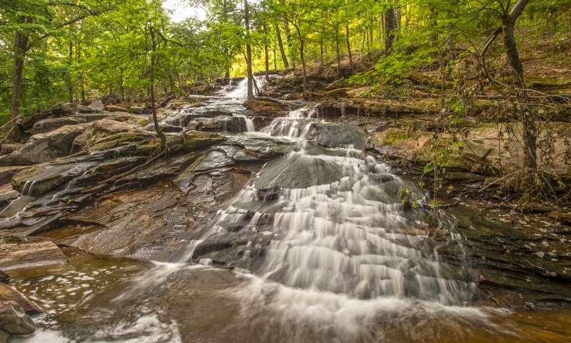 Woolly Hollow State Park's Huckleberry Trail