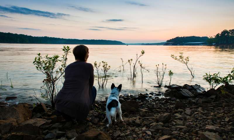 Daisy State Park Arkansas State Parks