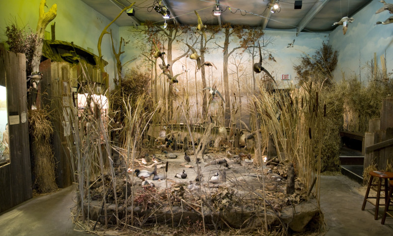 Museum of the Arkansas Grand Prairie