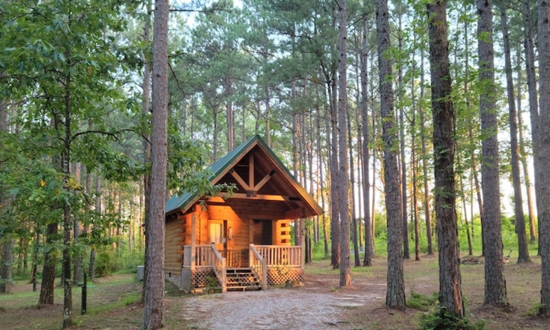 Log cabin surrounded by pine trees