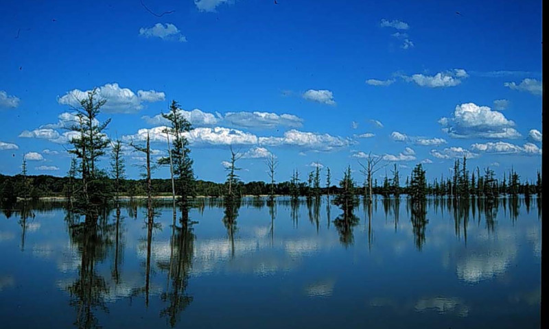 Mallard Lake