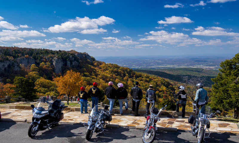 Mt magazine outlet