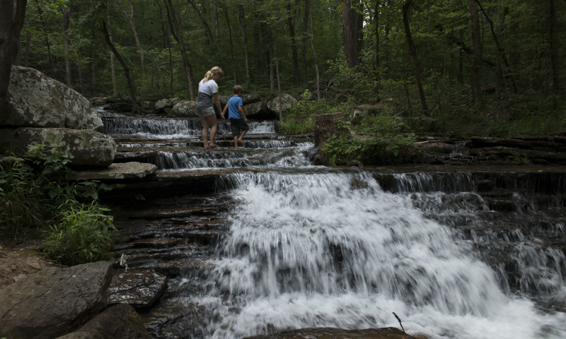 Collins Creek