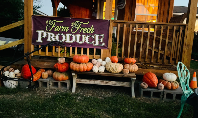 Several pumpkins and multi-colored gourds piled on a bench in front of a small farm store with a banner that says, "Farm Fresh Produce."