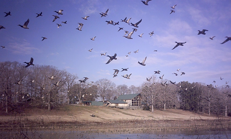 Boondocks Lodge