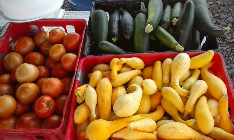 Arkansas County Farmers Market: South Market