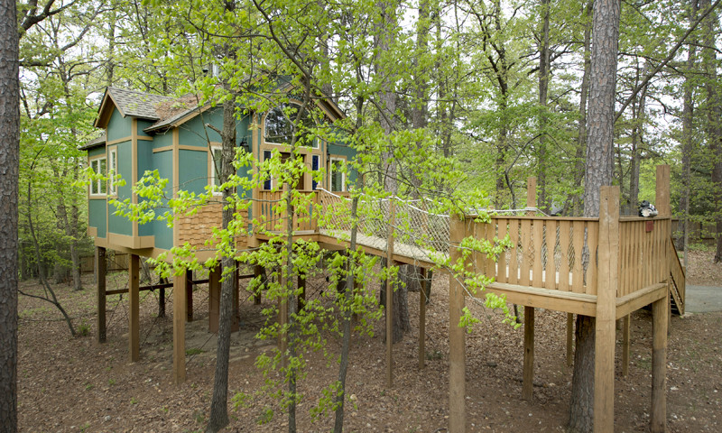 The Grand Treehouse Resort