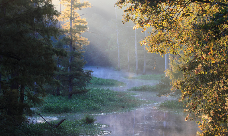 Moore Bayou Recreation Area