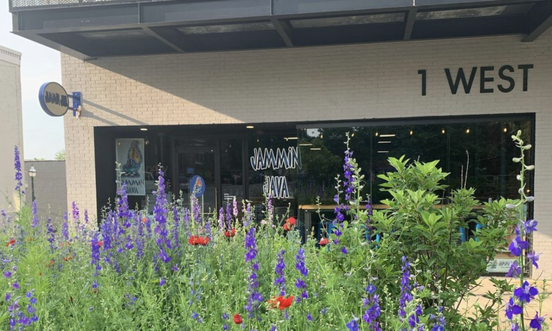 Jammin' Java - Fayetteville Square