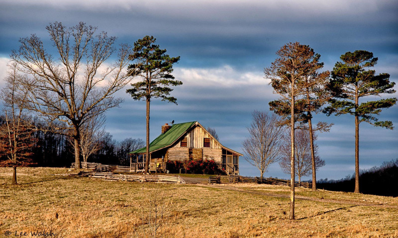 Bear Creek Log Cabins