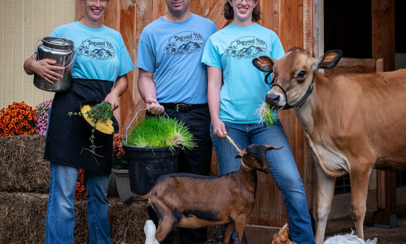 Dogwood Hills Guest Farm