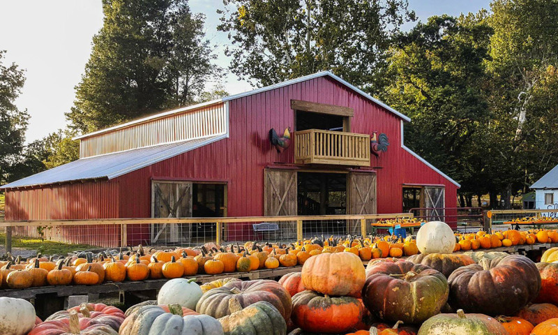 Pumpkin Hollow