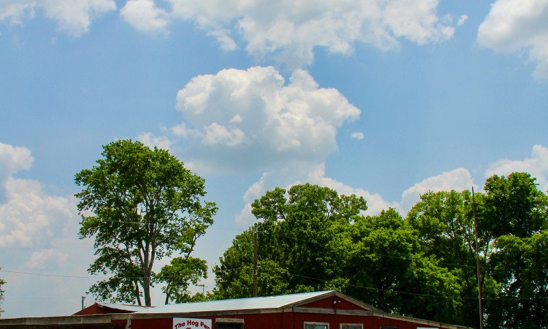 Hog Pen Barbecue