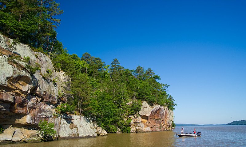 Lake Dardanelle