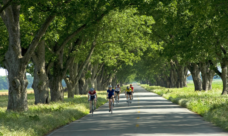 Cycling the Harper's Loop