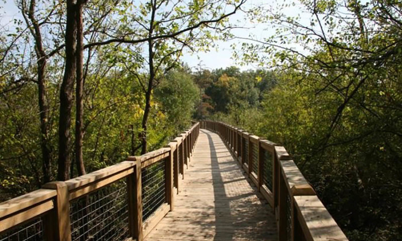 Striplin Woods Natural Area